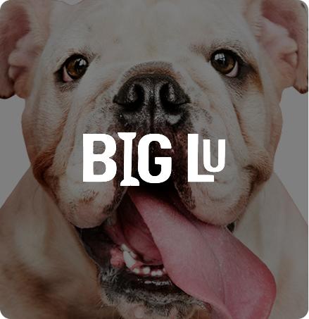 Big Lu