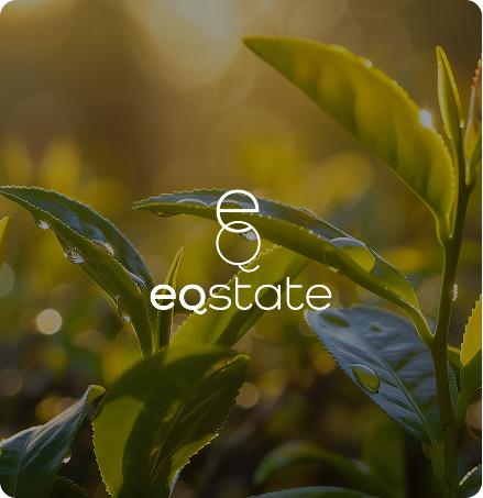 EQ state