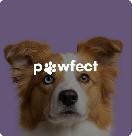 Pawfect Pet Store