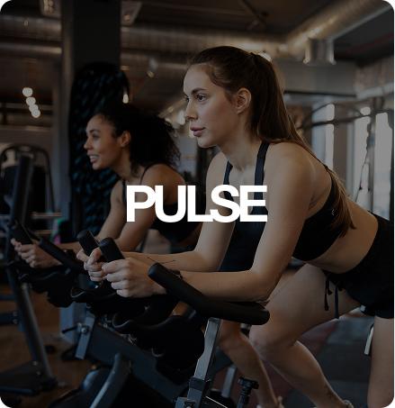 Pulse