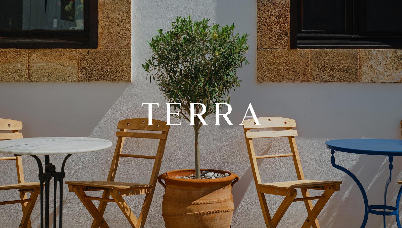Terra restaurant website
