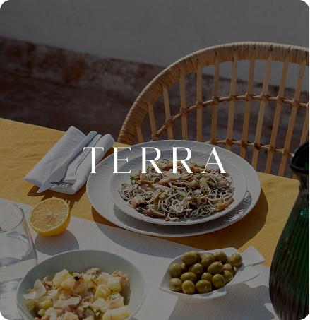 Terra